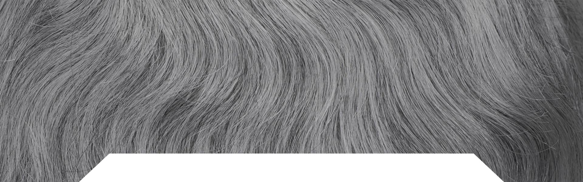 >Grey Hair System