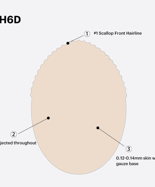 BH6D hair system