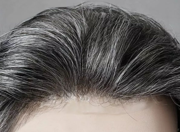 Men's Lace Front Wigs (1)