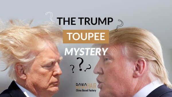 The Trump Toupee Mystery (13)