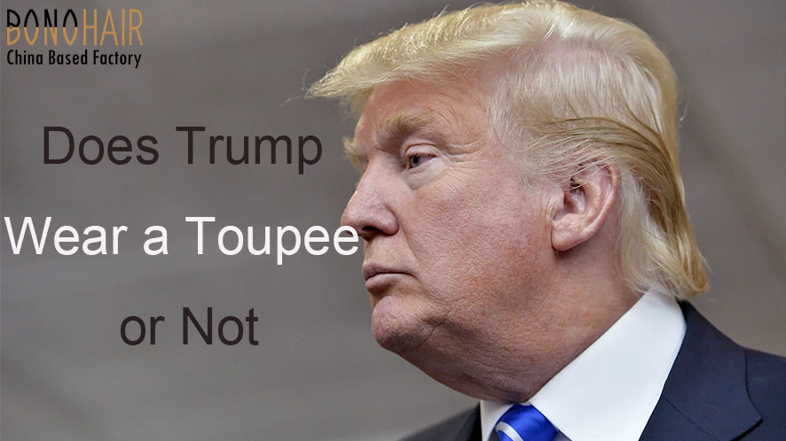 The Trump Toupee Mystery (15)
