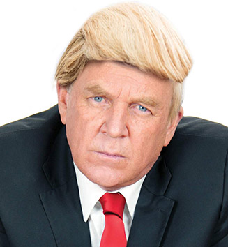 POTUS Billionaire Donald J Trump Deluxe Adult Wig For Costume Hair Republican 