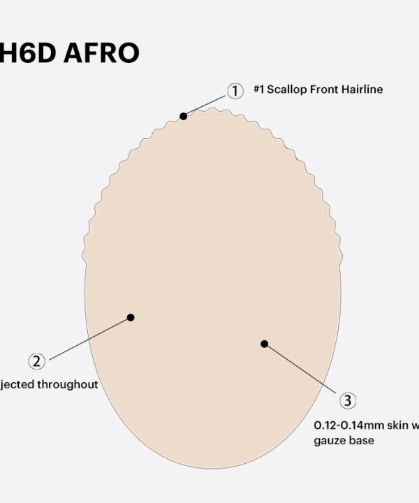 BH6D AFRO hair system