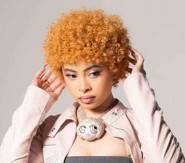 3.Short Ginger Brown Afro Wig