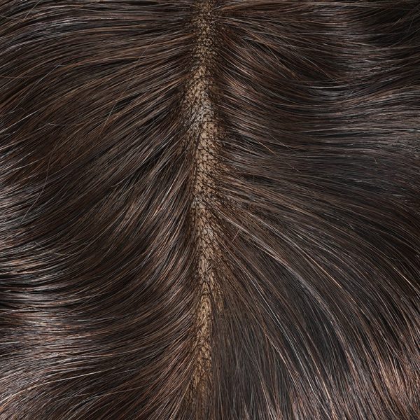 5HOLLYWOOD-S PU Perimeter Toupee Lace Front Hair Pieces