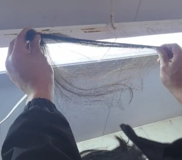 a person holding a strand of hair under bright light, trying to distinguish the texture and color of the hair
