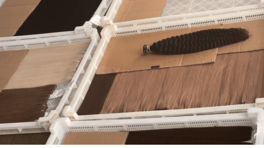 hair extensions in a hydrating treatment
