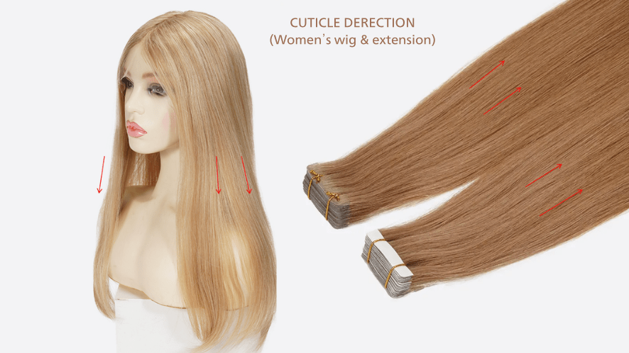 aligned hair cuticle direction of women's wigs and extensions