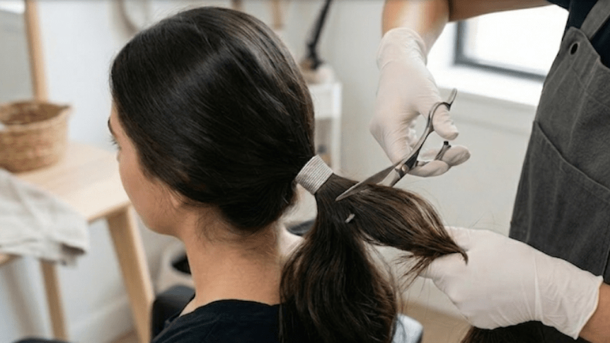 cutting virgin hair (ponitail) from the donor's head