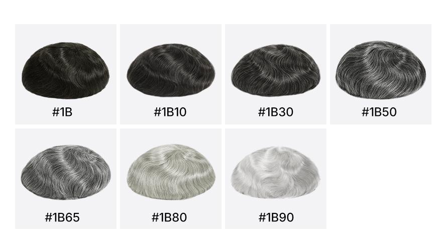 Hair system color-gray hair percentage comparison: from 0%~90%
