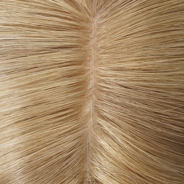 9Ayala Clip-On Silk Top Weft Back Hair Topper