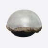 BH1