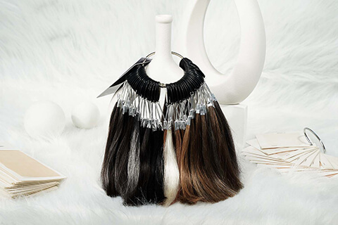 Hair system ordering tools